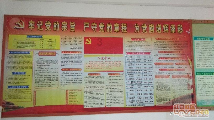 昆凌晒亲密照为周杰伦庆生！昆凌害羞得耳朵红了，两儿女罕见露面